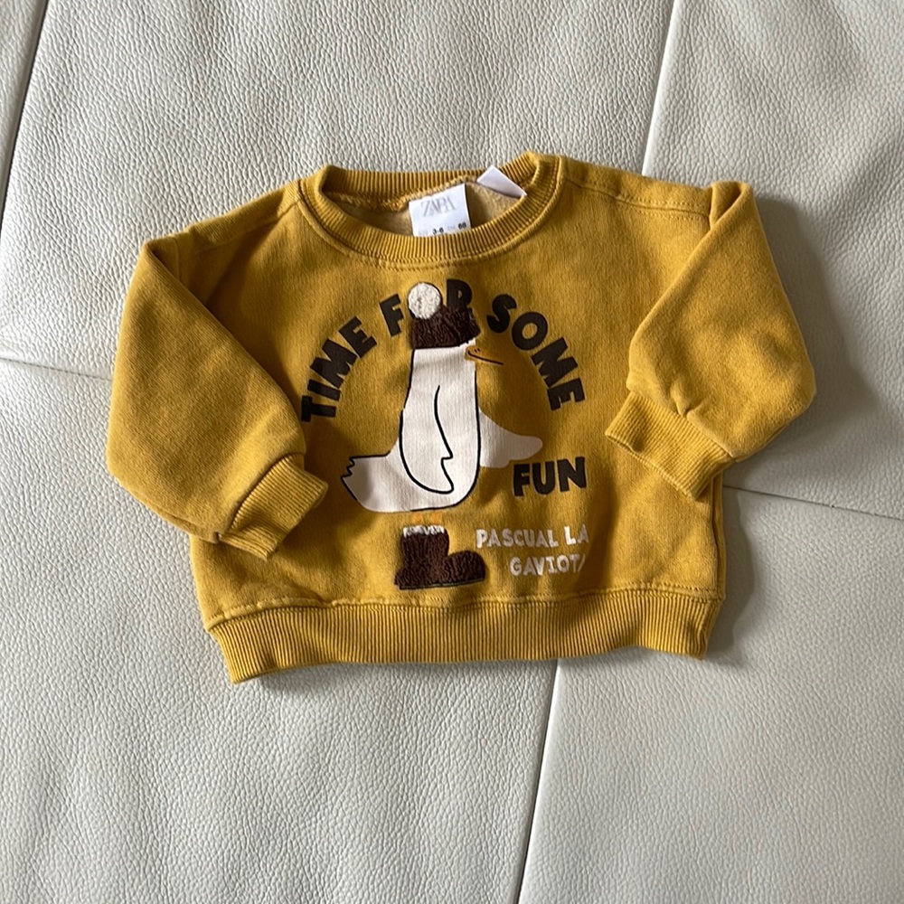 Zara sweathshirt